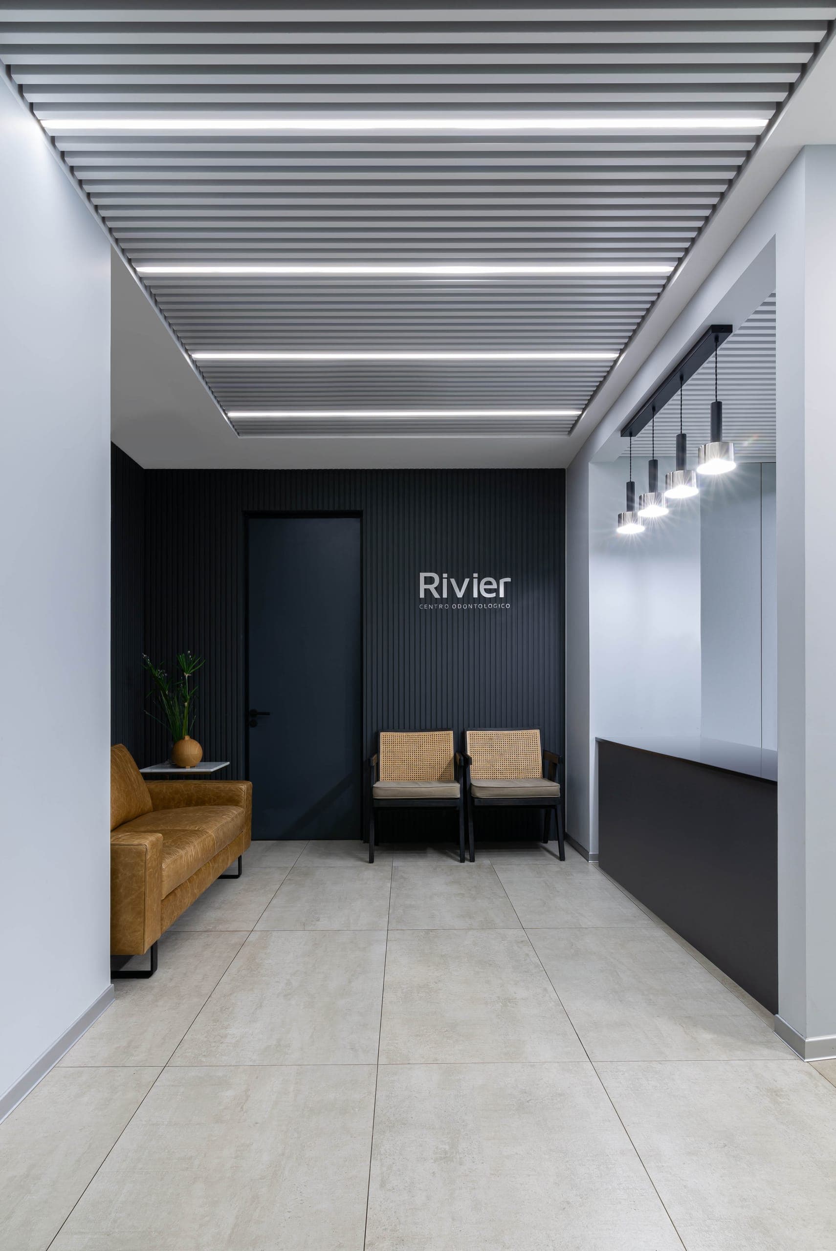 Clínica Rivier — detalle 2