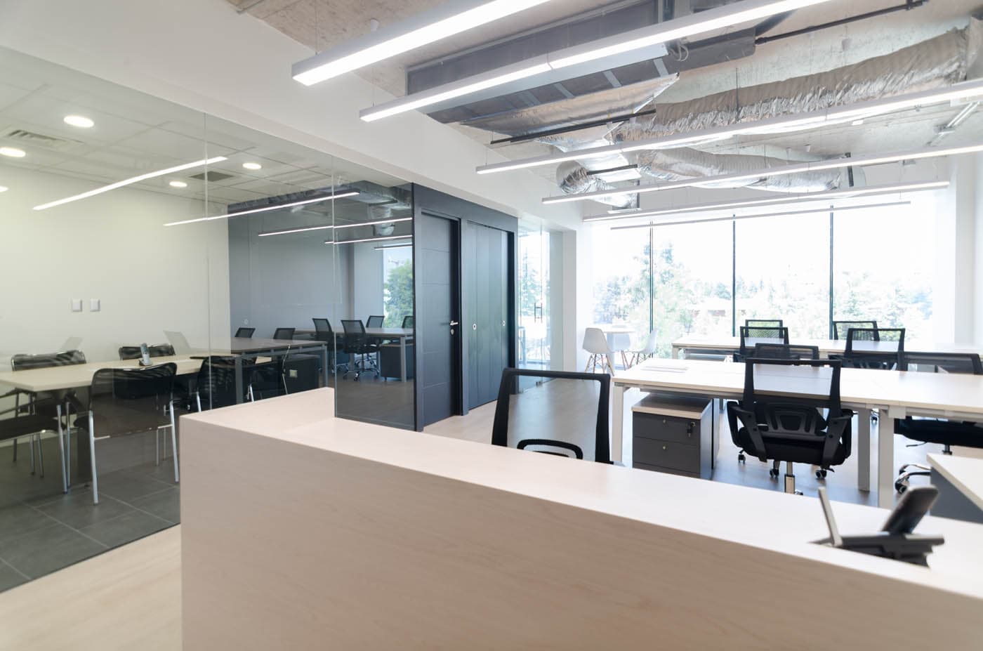 Oficinas TiendaPet.cl — detalle 2