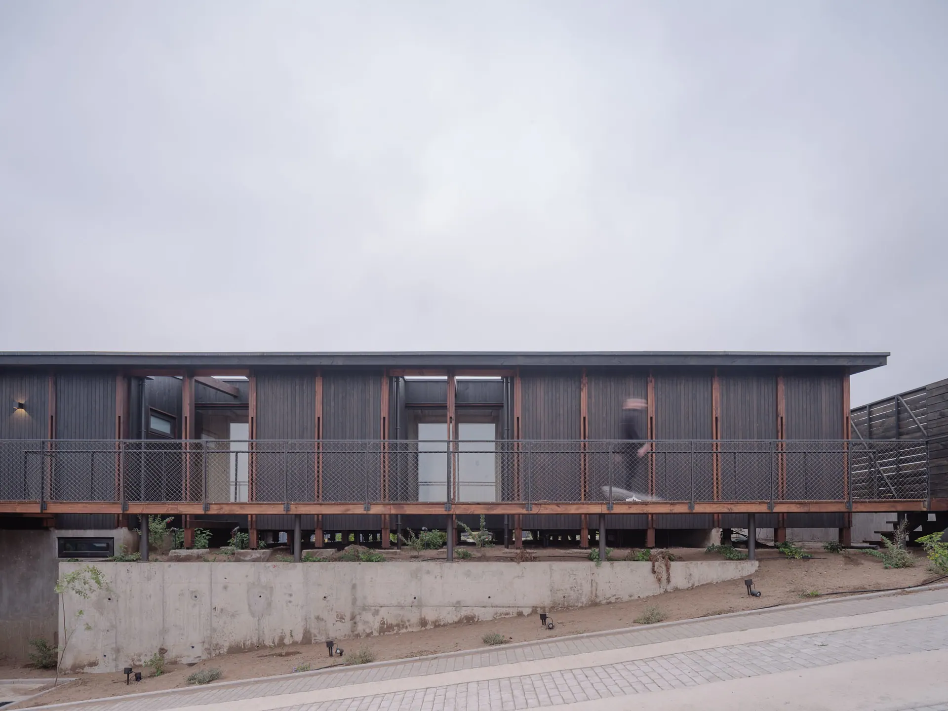 Los Pinos House — detalle 1