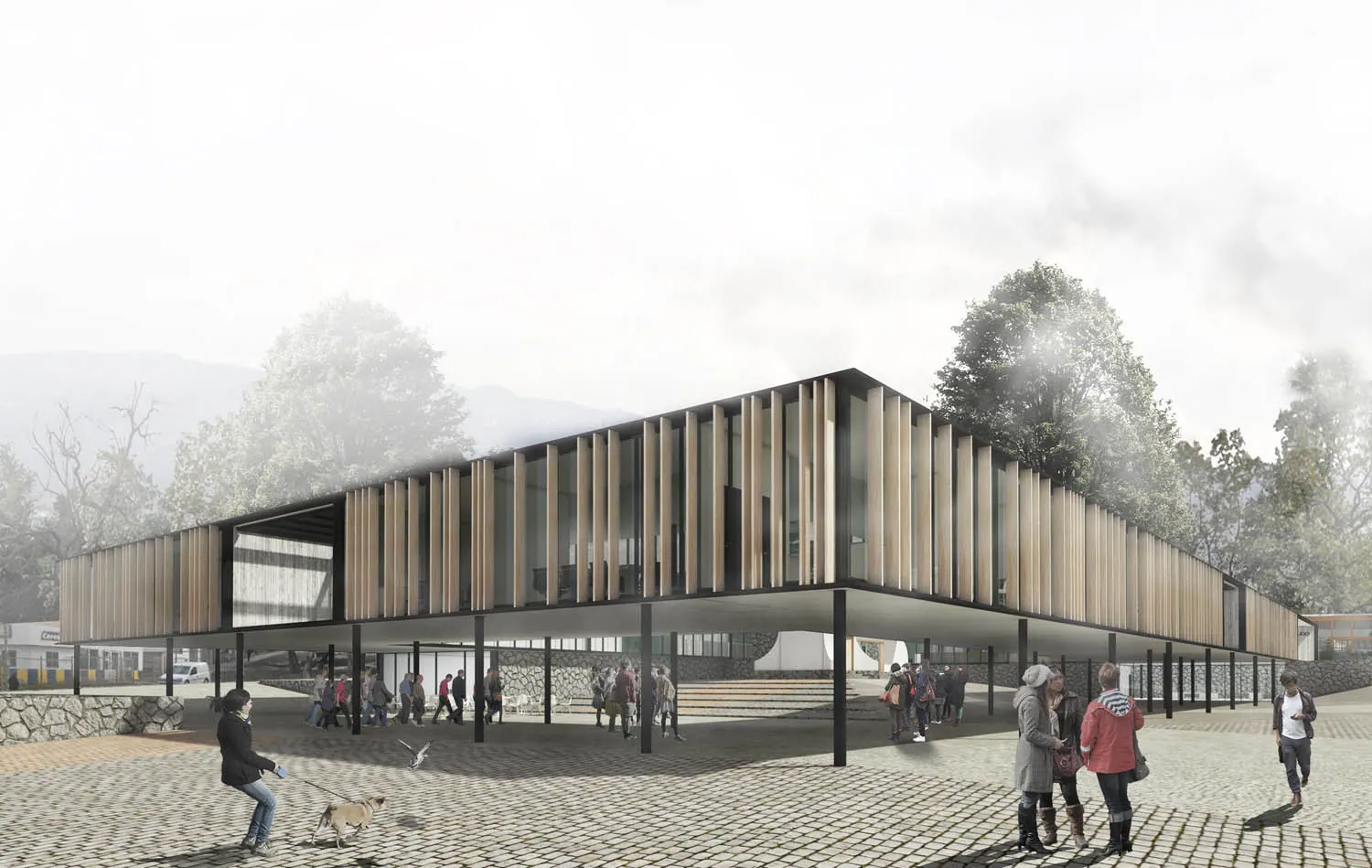 Papudo City Hall Competition — detalle 1