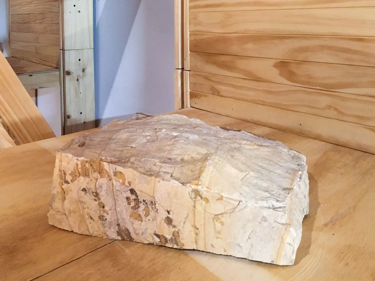 Territory in Contrasts - XV Venice Biennale — detalle 2