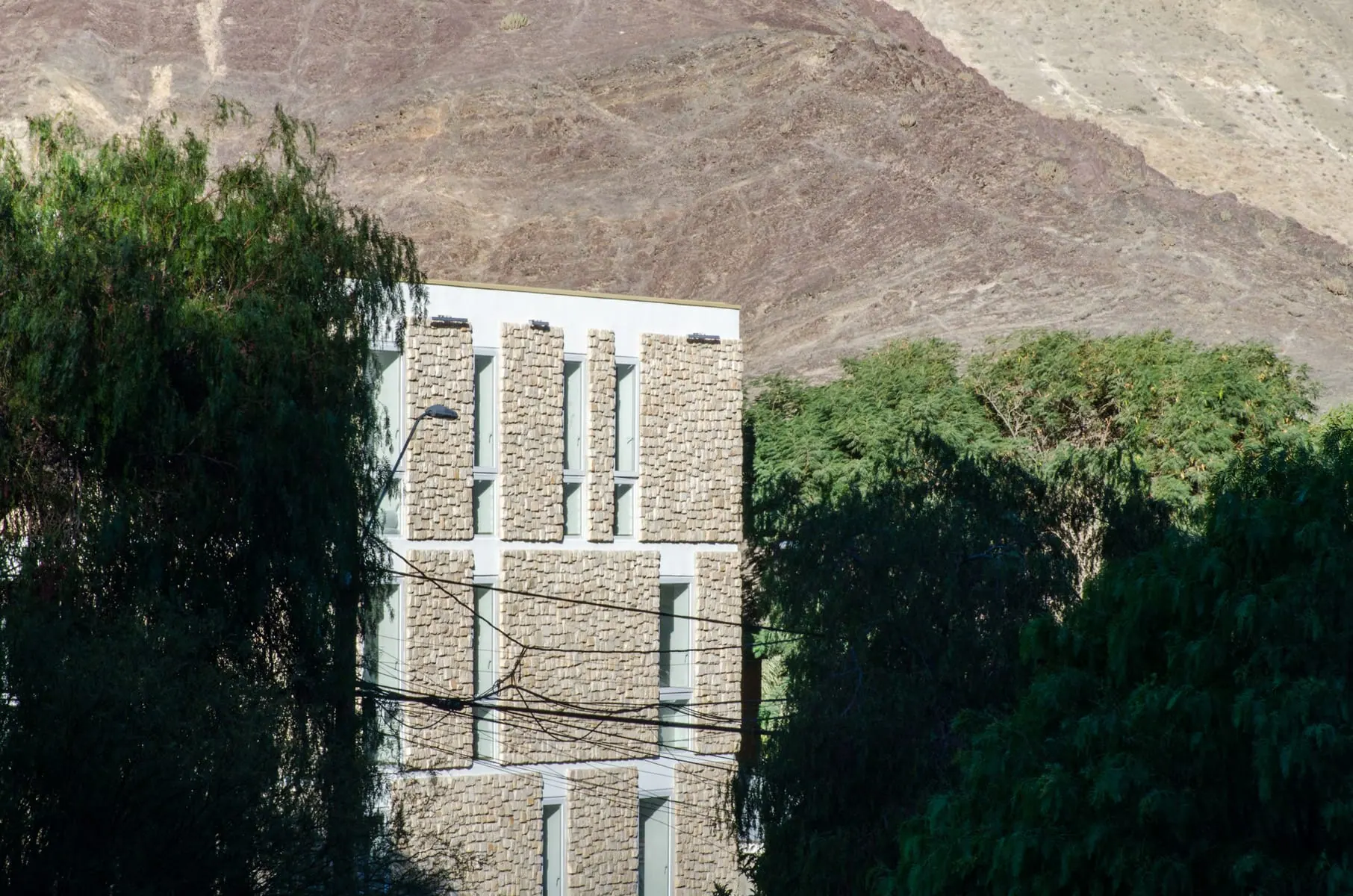 Alto del Carmen City Hall — detalle 1